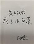 失忆后我成了小白菜