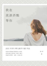 在我流浪他乡的这些年歌曲