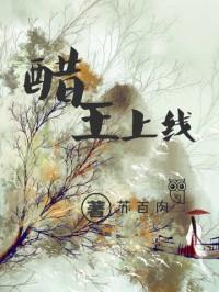 醋王bl