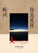 你是夏夜的风景是什么歌