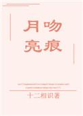 月亮吻过星辰免费阅读