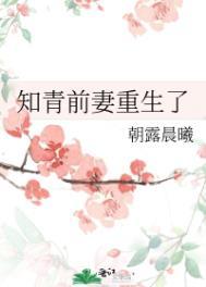 重生知青娶妻