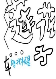 莲花里的莲子