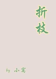 折枝的po