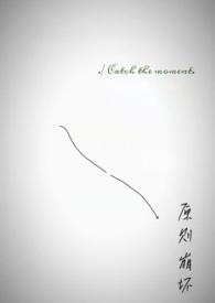 原则崩坏全文免费阅读