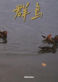 群鸟飞舞的近义词