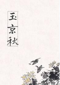 玉京秋免费阅读全文