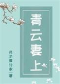 青云妻上最新章节免费阅读