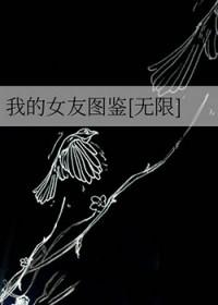 我的女友完美版攻略