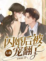 闪婚大叔用为宠