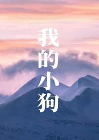 我的小狗很可爱