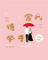 爱我请举手 节目