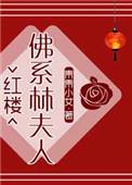 红楼佛系林夫人全文