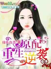 重生之逆袭人生