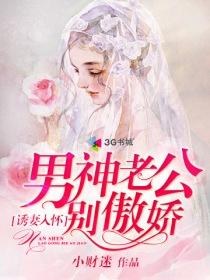 诱妻入怀老公请温柔