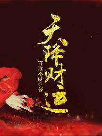 天降财运起点中文网
