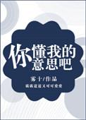 你懂我意思了吗