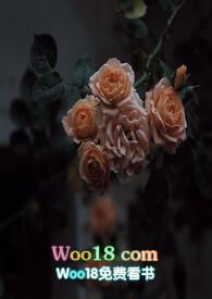 壁垒骨科np(江至疏)作者江至疏