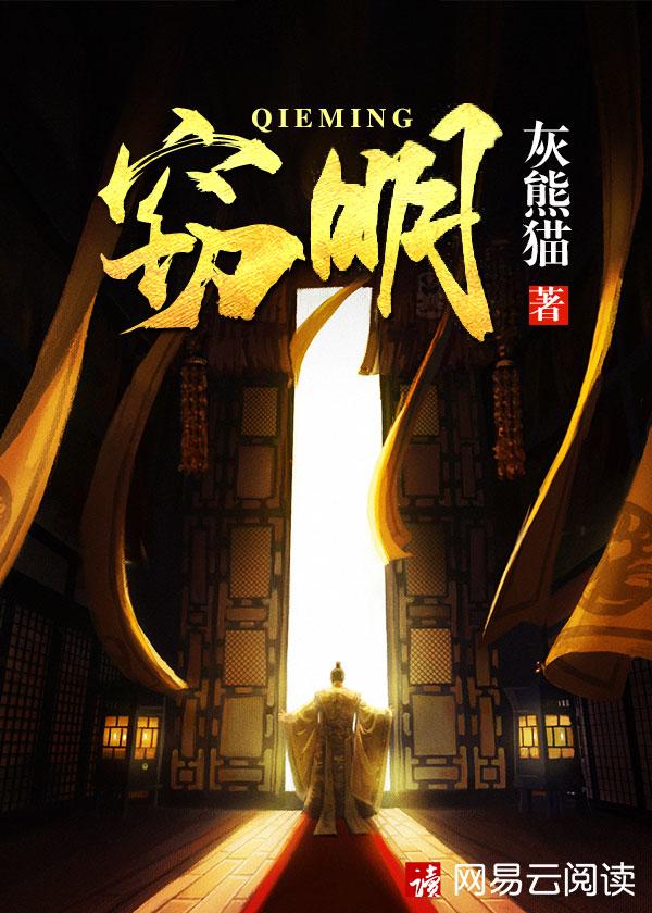 窃明剧情介绍