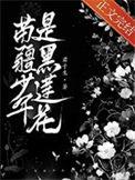 攻是苗疆少年的文