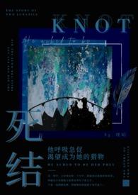 死结(姐弟骨科)作者理昭