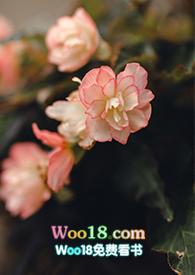 游园惊梦歌词全文