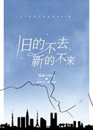 旧的不去新的不来DJ
