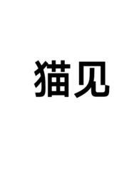 猫见人就跑