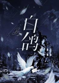 白鸽dc