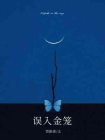 误入金笼by贺新郎讲了什么