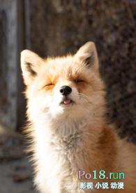 睡了反派男二之后(1v1).txt