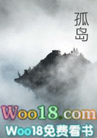 孤岛 文