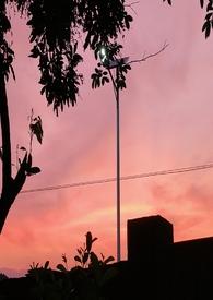 乖宠免费全文阅读