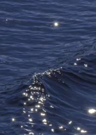 一朝落榜无所有打一生肖