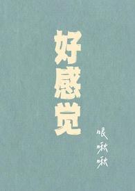 好感觉站