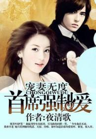 首席爱妻入骨