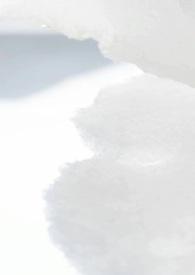 病娇校园模拟器