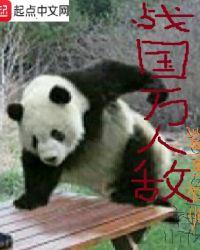 战国万人敌顶点