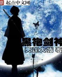 黑袍剑圣之异界纵横刘枫