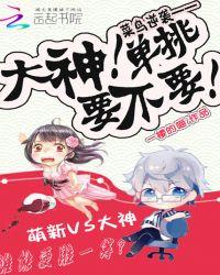 菜鸟 大佬