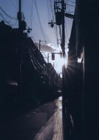 你是我的曙光po全文免费