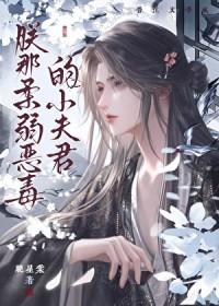 朕的恶毒小皇妃漫画