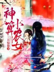 神算小农女视频动漫