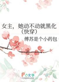 女主她黑化了(快穿)纪念思