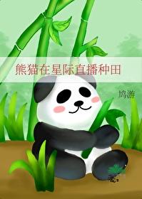 穿越星际熊猫