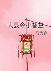 大县令小仵作第二部