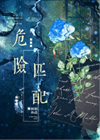 危险匹配星际全文免费阅读
