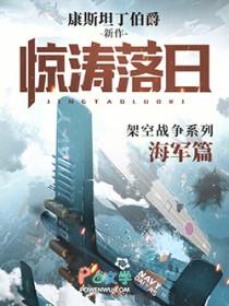 惊涛落日什么意思