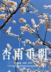 杏雨啥意思