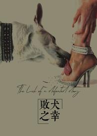 败犬是什么狗